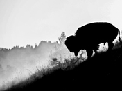 Grand Tetons National Park