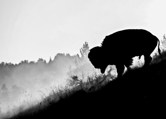 Grand Tetons National Park