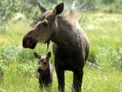 Rocky Mountain National Park