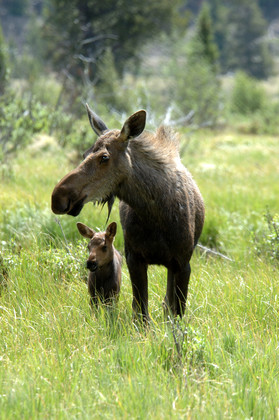Rocky Mountain National Park