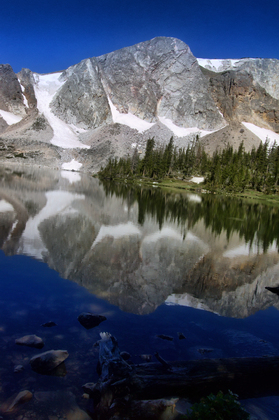 Medicine Bow National Forest