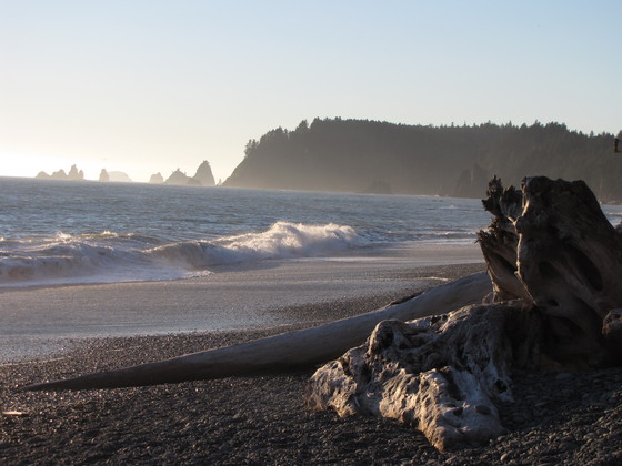 Olympic National Park