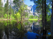Yosemite National Park