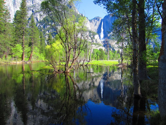 Yosemite National Park