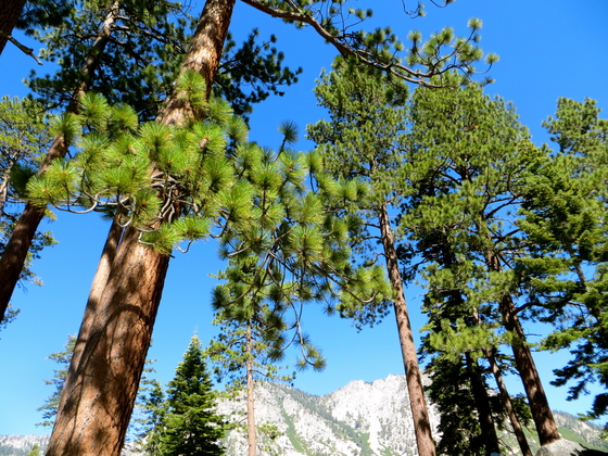 Lake Tahoe Basin