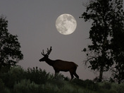 Grand Teton National Park