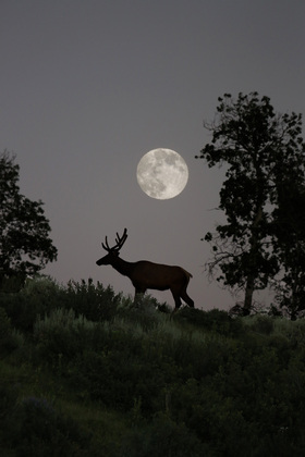 Grand Teton National Park