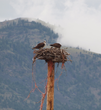 Glacier National Park