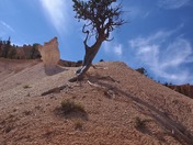 Bryce Canyon NP