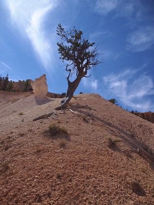 Bryce Canyon NP
