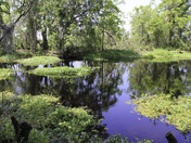 Jean Lafitte National Historic Park & Preserve