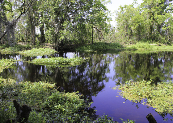 Jean Lafitte National Historic Park & Preserve