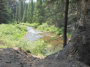 Black Hills National Forest