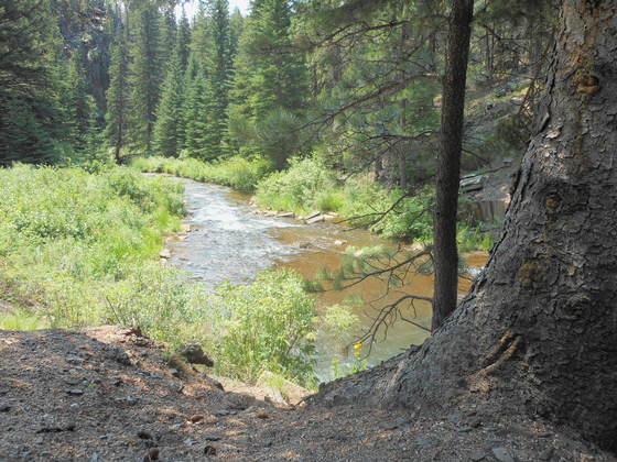 Black Hills National Forest