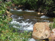 Black Hills National Forest