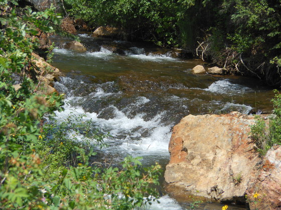 Black Hills National Forest