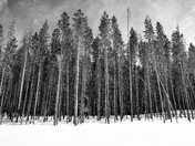 Rocky Mountain National Park