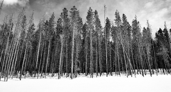 Rocky Mountain National Park