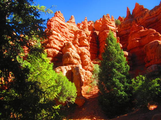Dixie National Forest