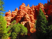 Dixie Naional Forest