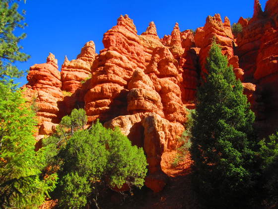 Dixie Naional Forest