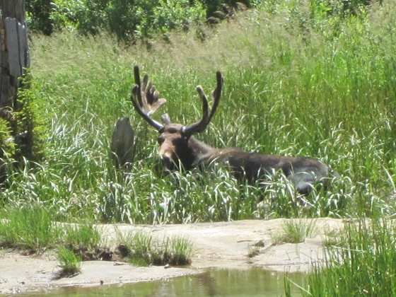 Tetons National Park