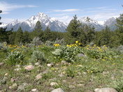 Grand Teton National Park