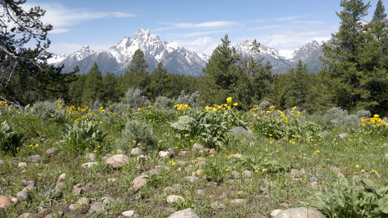 Grand Teton National Park