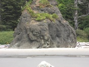 Olympic National Park