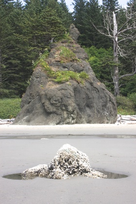 Olympic National Park