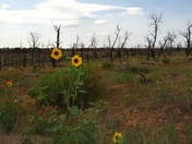Mesa Verde National Park