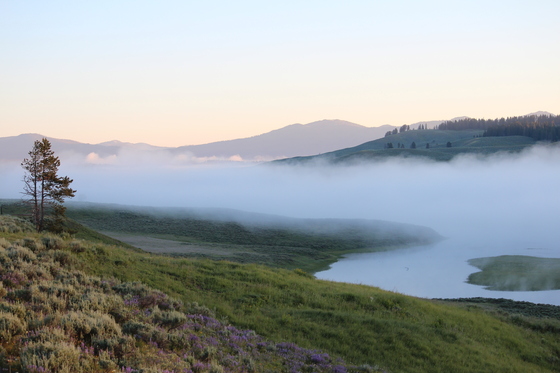 Yellowstone National Park