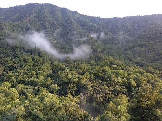 Great Smoky Mountains National Park