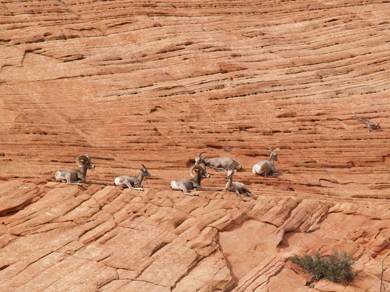 Zion National Park, Utah