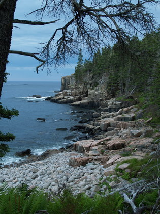 Acadia National Park
