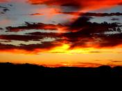Mojave National PRESERVE