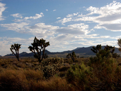 Mojave National PRESERVE