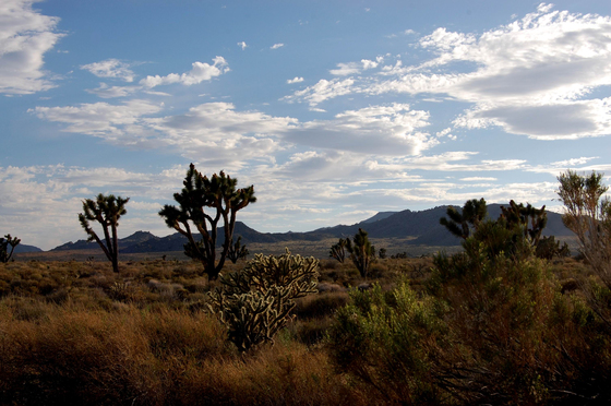 Mojave National PRESERVE