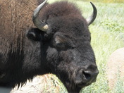 Wichita National Wildlife Refuge