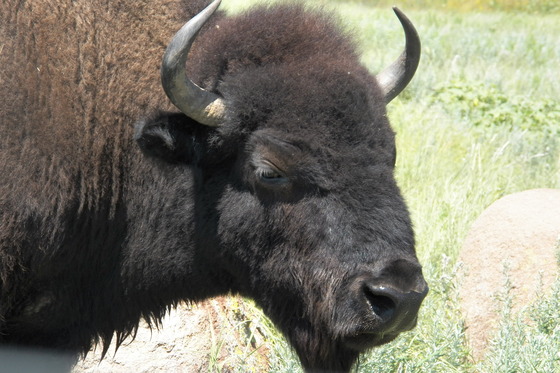 Wichita National Wildlife Refuge