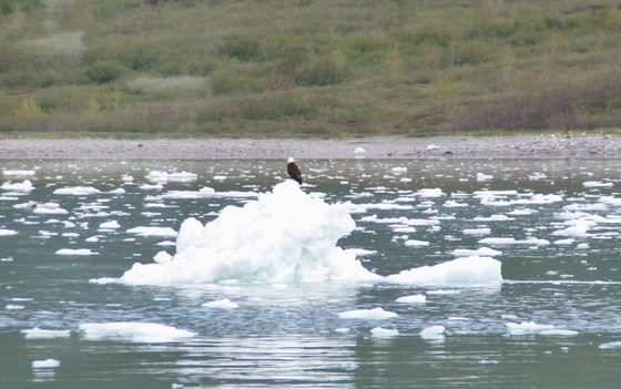 Glacier Bay National Park