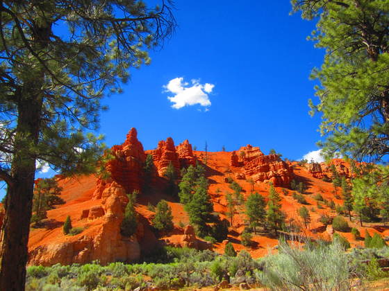 Dixie National Forest