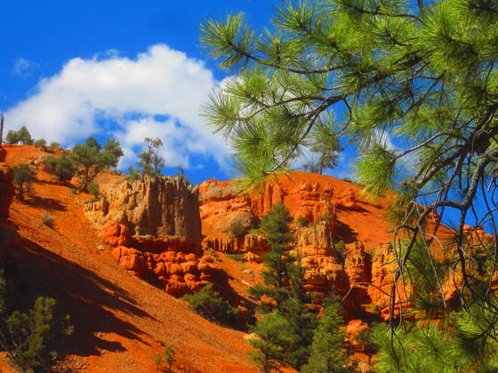 Dixie National Forest