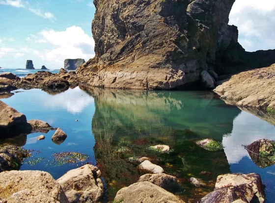 Olympic National Park