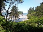 Olympic National Park