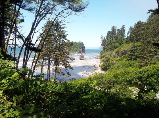 Olympic National Park