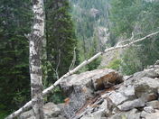 Grand Teton National Park