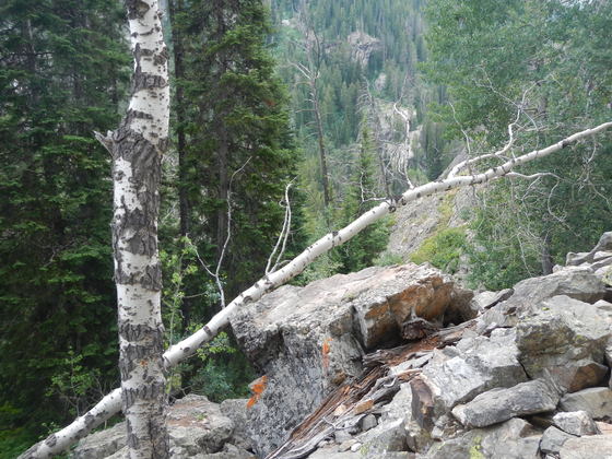 Grand Teton National Park