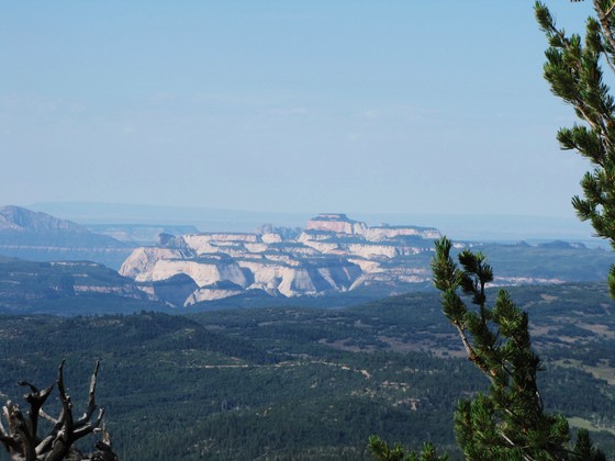 Navajo Lake Utah/DixierNational Forest