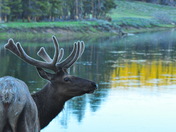 Yellowstone National Park